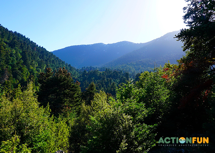 actionfun--pezopories--2024-12-14--elikonas-zeriki-arvanitsa