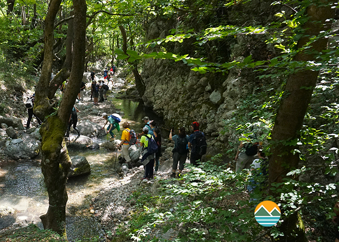 actionfun--pezopories--2025-09-28--stropones