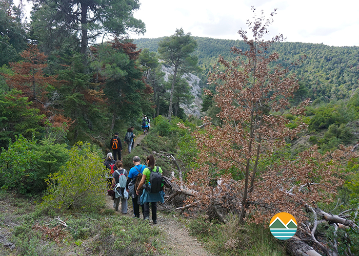 actionfun--pezopories--2025-10-12--spileo-panos