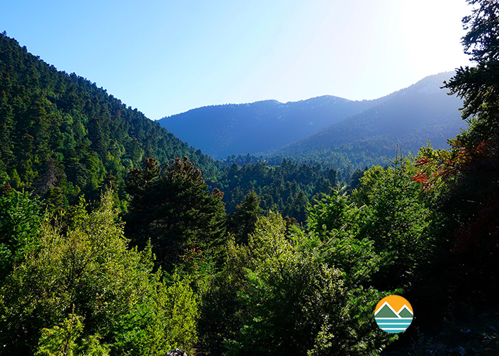 actionfun--pezopories--2025-11-02--zeriki-arvanitsa