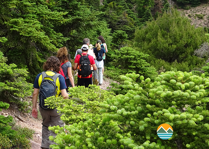 actionfun--pezopories--2025-11-08--parnitha-mavrovouni-flabouri