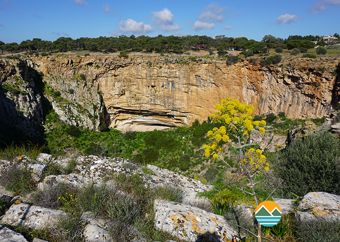 actionfun--pezopories--2025-11-23--sounio-haos