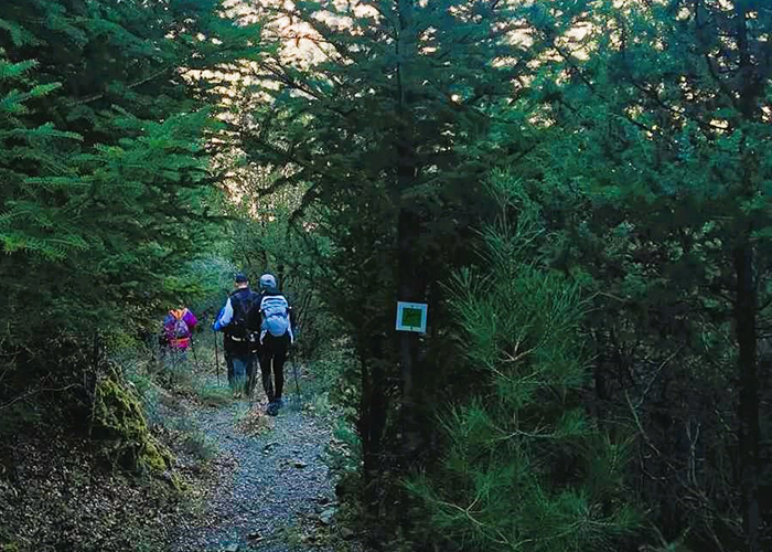 actionfun--pezopories--2025-11-30--magouliana-nimfasia