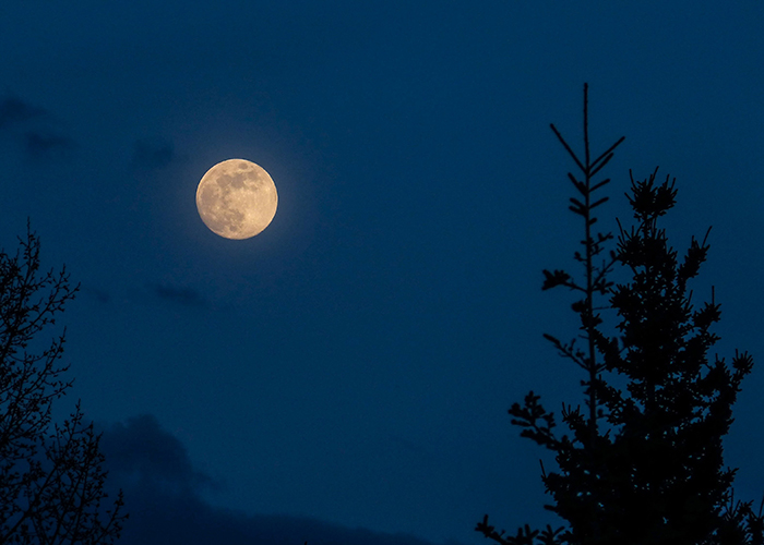 actionfun--pezopories--2025-12-06--vradini-parnitha-flabouri