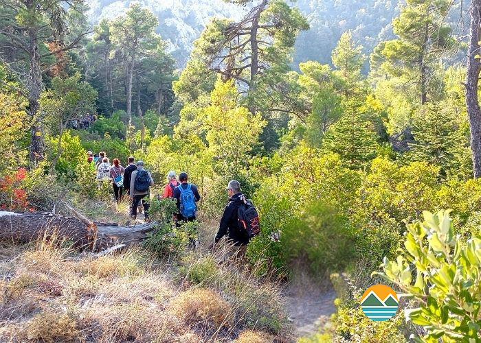 Αντίγραφο του Επεξεργασία φωτό 6000