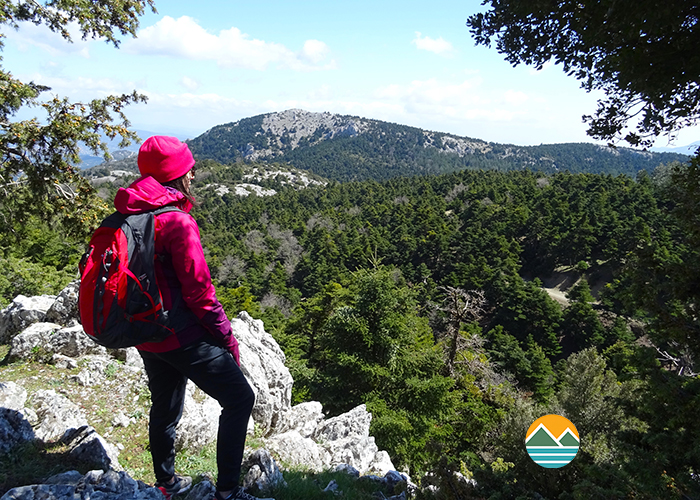 actionfun--pezopories--2026-01-25--parnitha-8ari