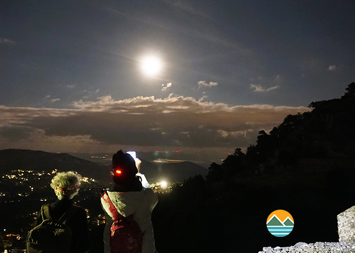 actionfun--pezopories--2026-01-31--aloula