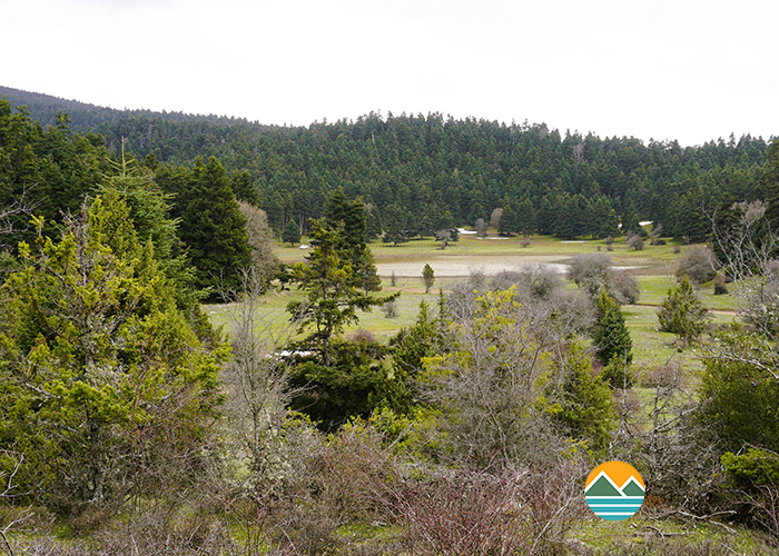 actionfun--pezopories--2026-02-08--kallidromo-limni-nevropoli