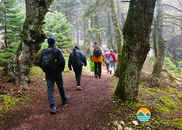 actionfun--pezopories--2026-03-29--parnitha-gyros-orniou-karavolas