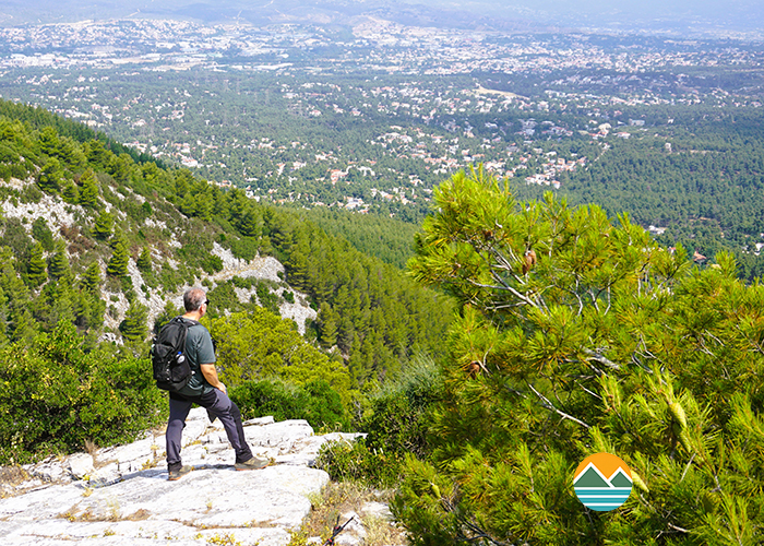 actionfun--pezopories--2026-04-05--aloula